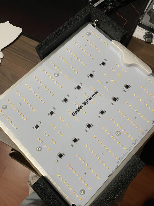 SpiderFarmer SF-1000D 100W (Growlight)