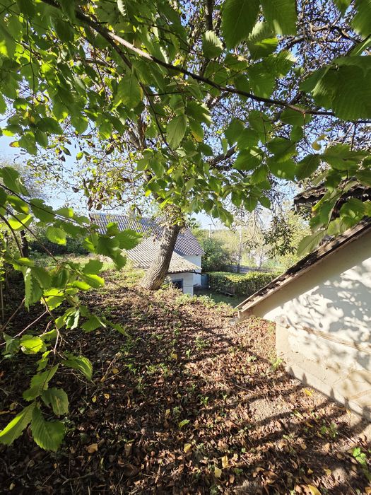 Продаж ділянки 14 сот з будинком 35 м² в Станишівці