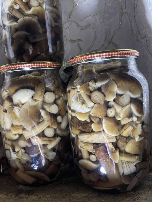 Опеньки мариновані