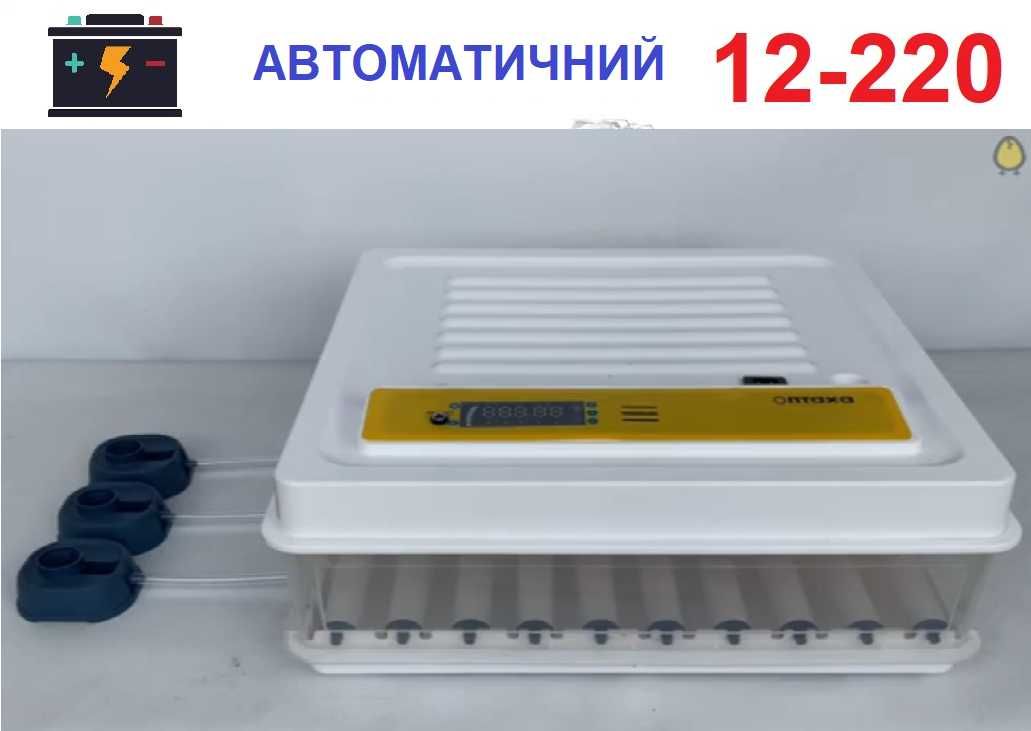 Инкубатор автоматический 70 яиц с овоскопом 220/12В. Інкубатор