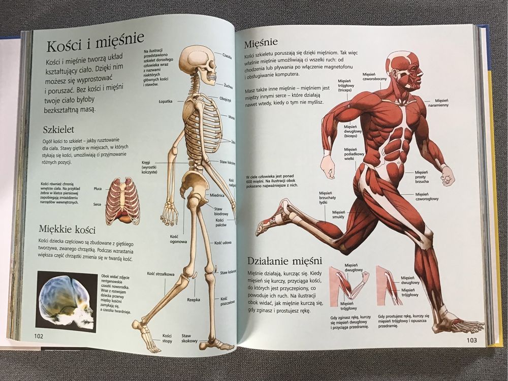 Encyklopedia wiedzy Atlas świata zestaw 6+