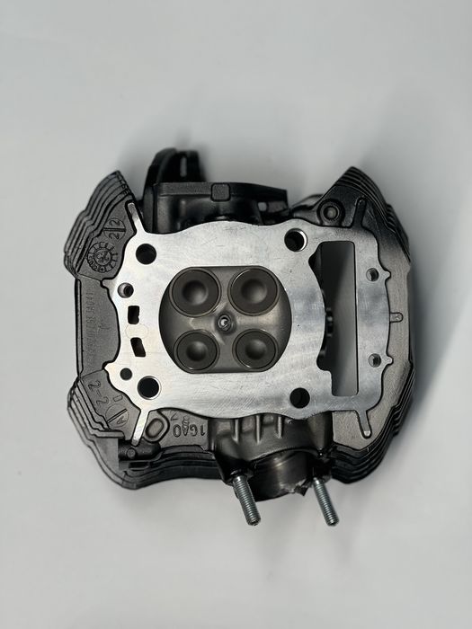 Головка циліндра в зборі 171 FMM Takken 250