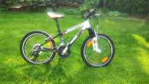 Rower KTM Wild cross 20