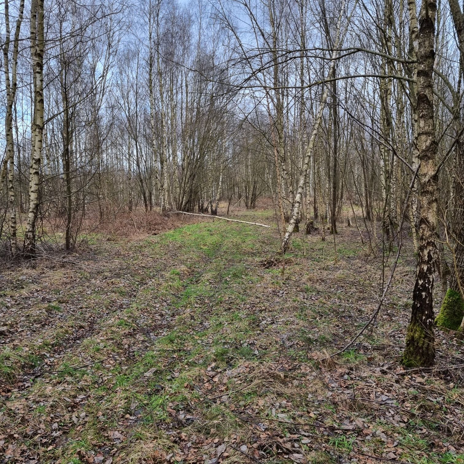 Działka rolna, pod rekreacje,  jezioro Narie, warmia, mazury