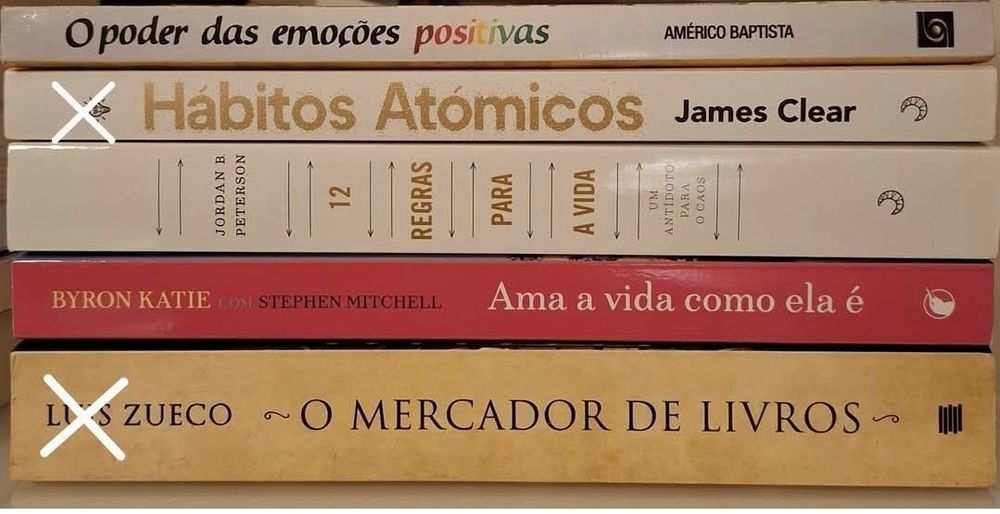 Livros lote coleção vários diversos