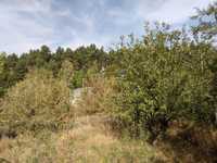 Ділянка біля лісу і пруда у с. Малютянка