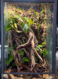 Terrarium tropikalne NOWE