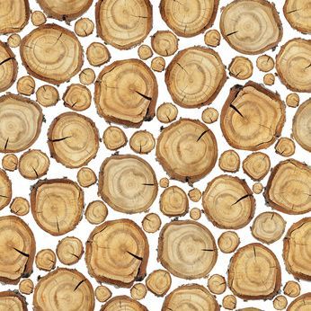 Dąb plastry drewna na taras ścieżka chodnik Dębowe