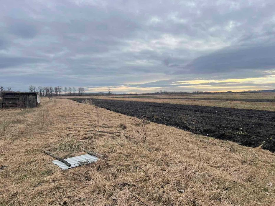 Земельна ділянка 15 сот., с. Сопошин