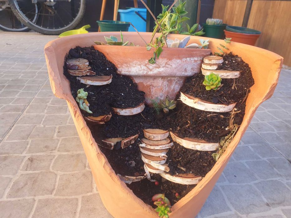 Decoracao de vasos com cactos e soculentas