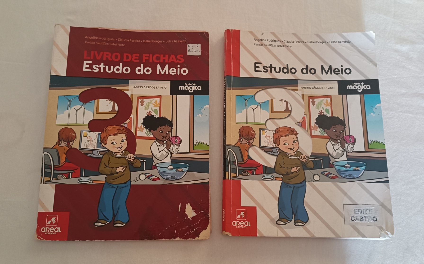 Manual Estudo do Meio. 3 Ano.