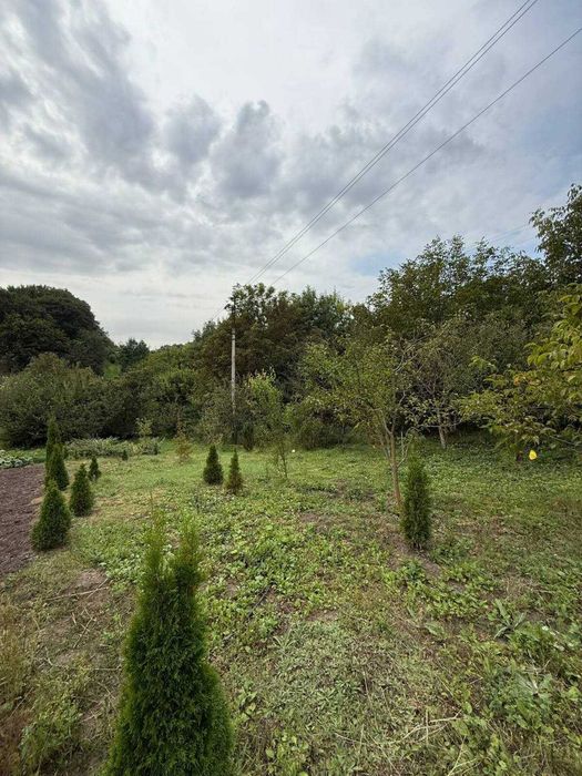 Земельна ділянка. Південний-Захід. Кленова.