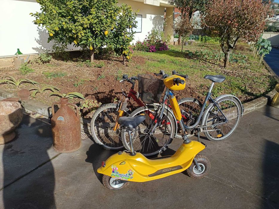 Bicicletas  de adulto e crianças