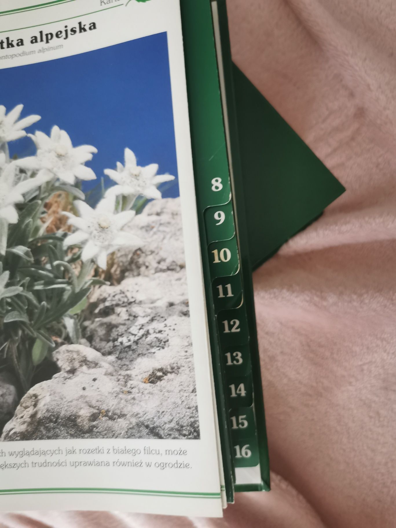 Kwiaty w twoim domu część I i II