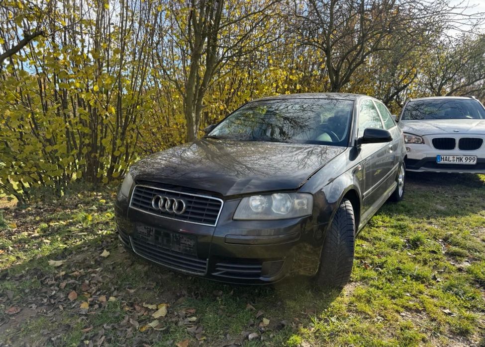 Audi a3 8P 1.6 benzyna