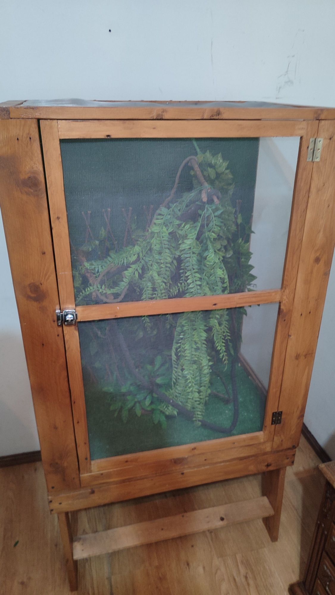 Terrário madeira