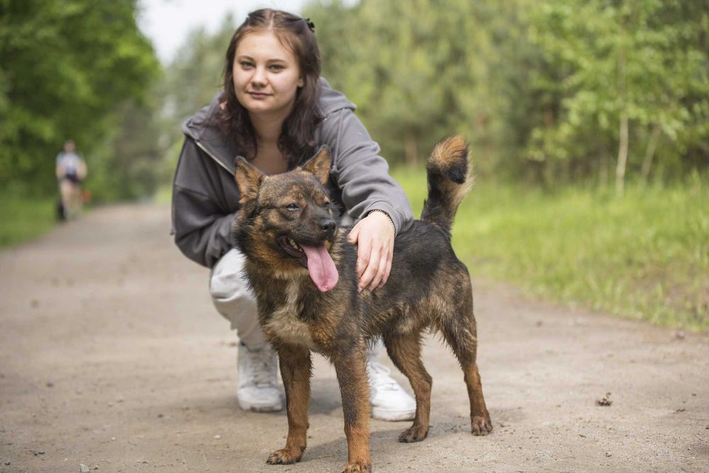 Młodziutki piesek o ślicznym umaszczeniu - Bansi szuka domu