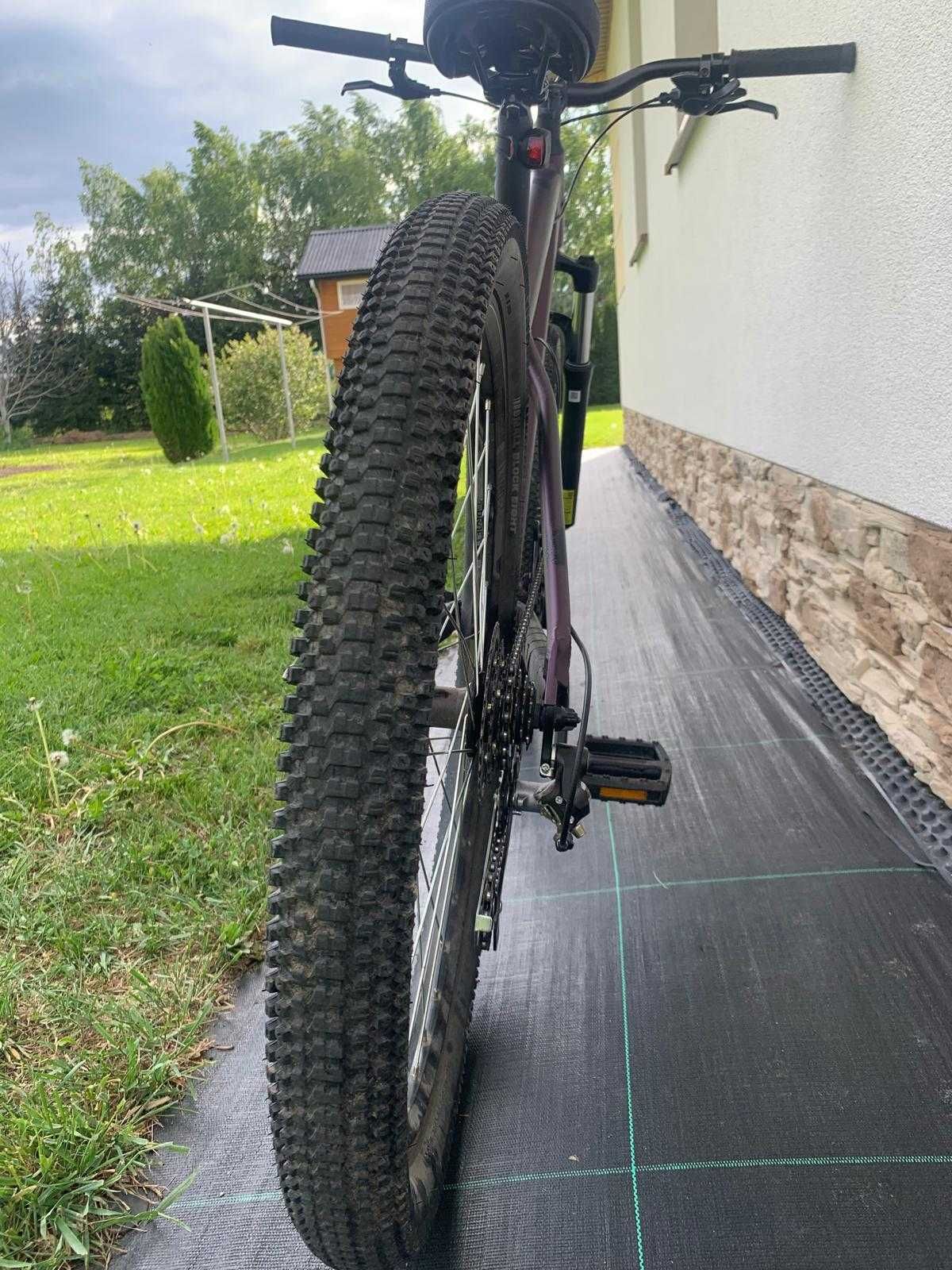 rower Kellys whip 10 M