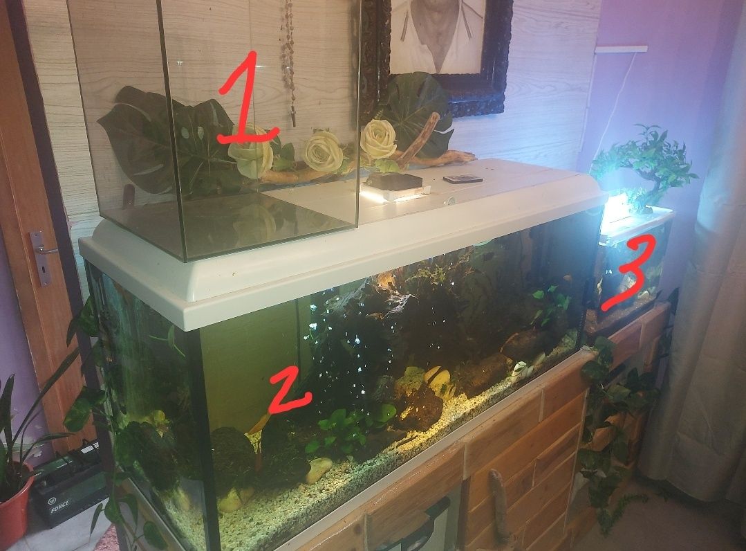 Aquario de 250L completo, 1 de 50l e outro de 32l com peixes e etc