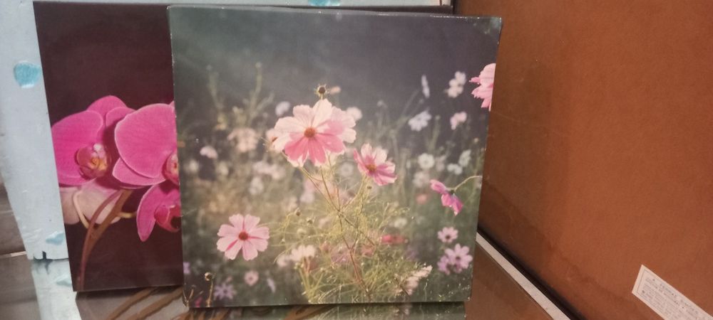 Quadros e impressões em tela