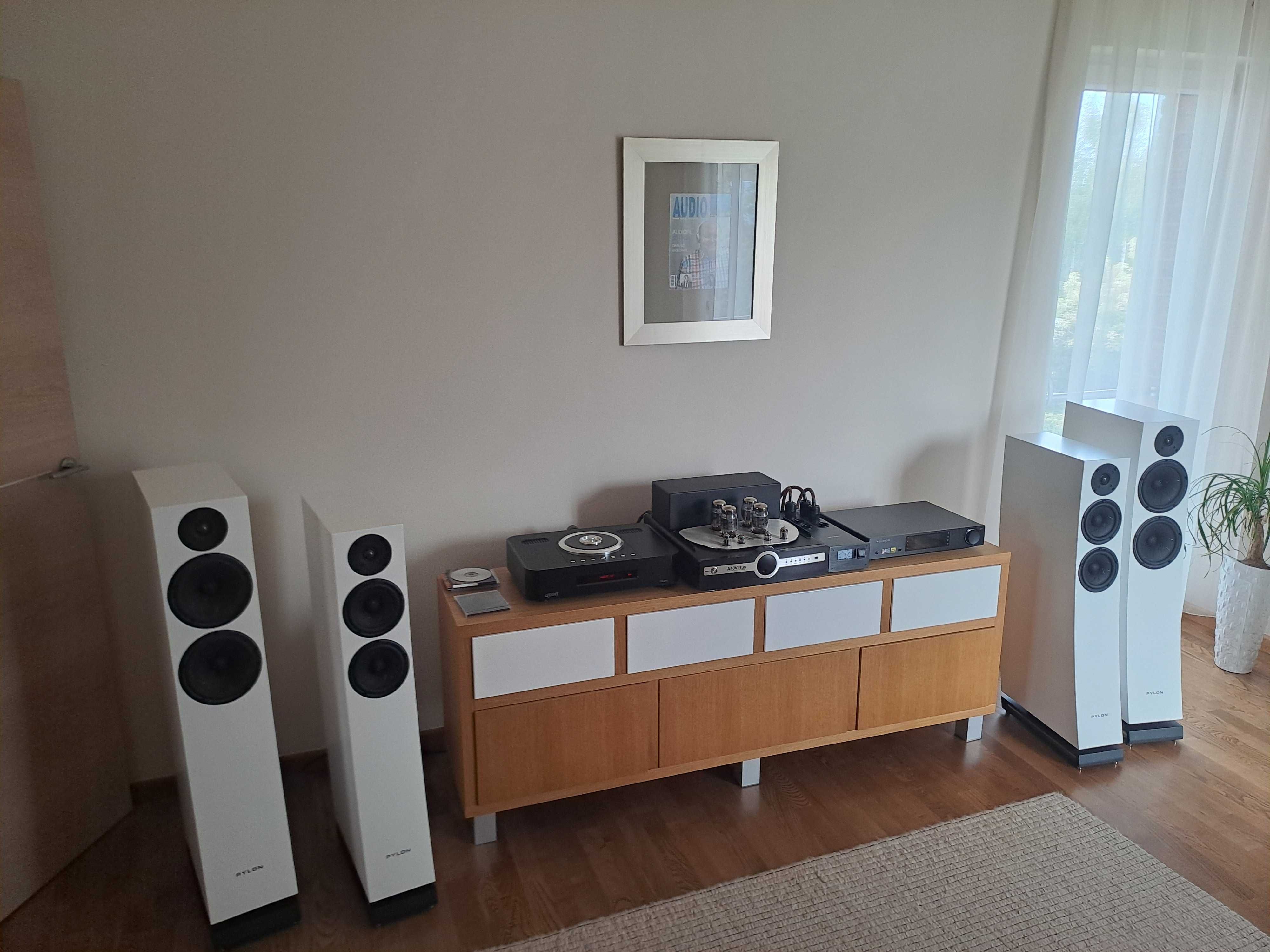 Pylon Audio Jasper 23 Heban Marocco dostawa 24h
