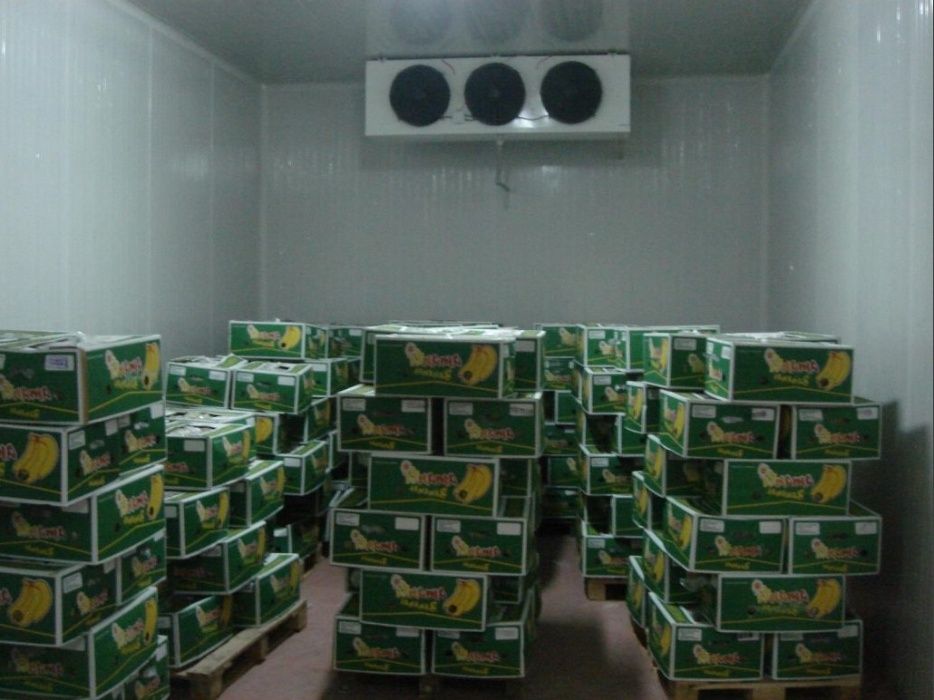 Холодильный агрегат хранения, быстрого охлаждения арбуза дыни бананов