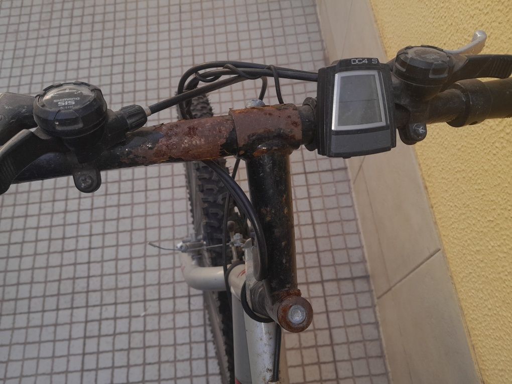 Bicicleta antiga