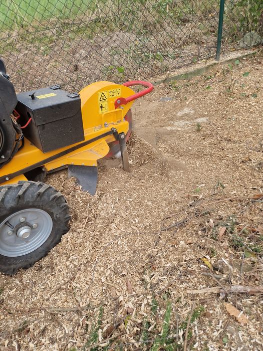 Wycinka drzew, uslugi rębakiem, wycinka tui , frezowanie pni, koszenie
