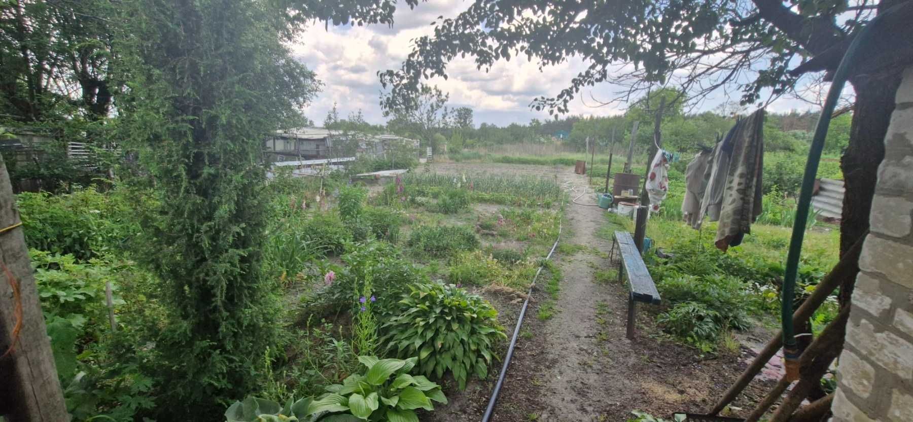 Екслюзив! Продам дом 54 м2 (Основа, Жихорь, Гуты) 10 сот земли