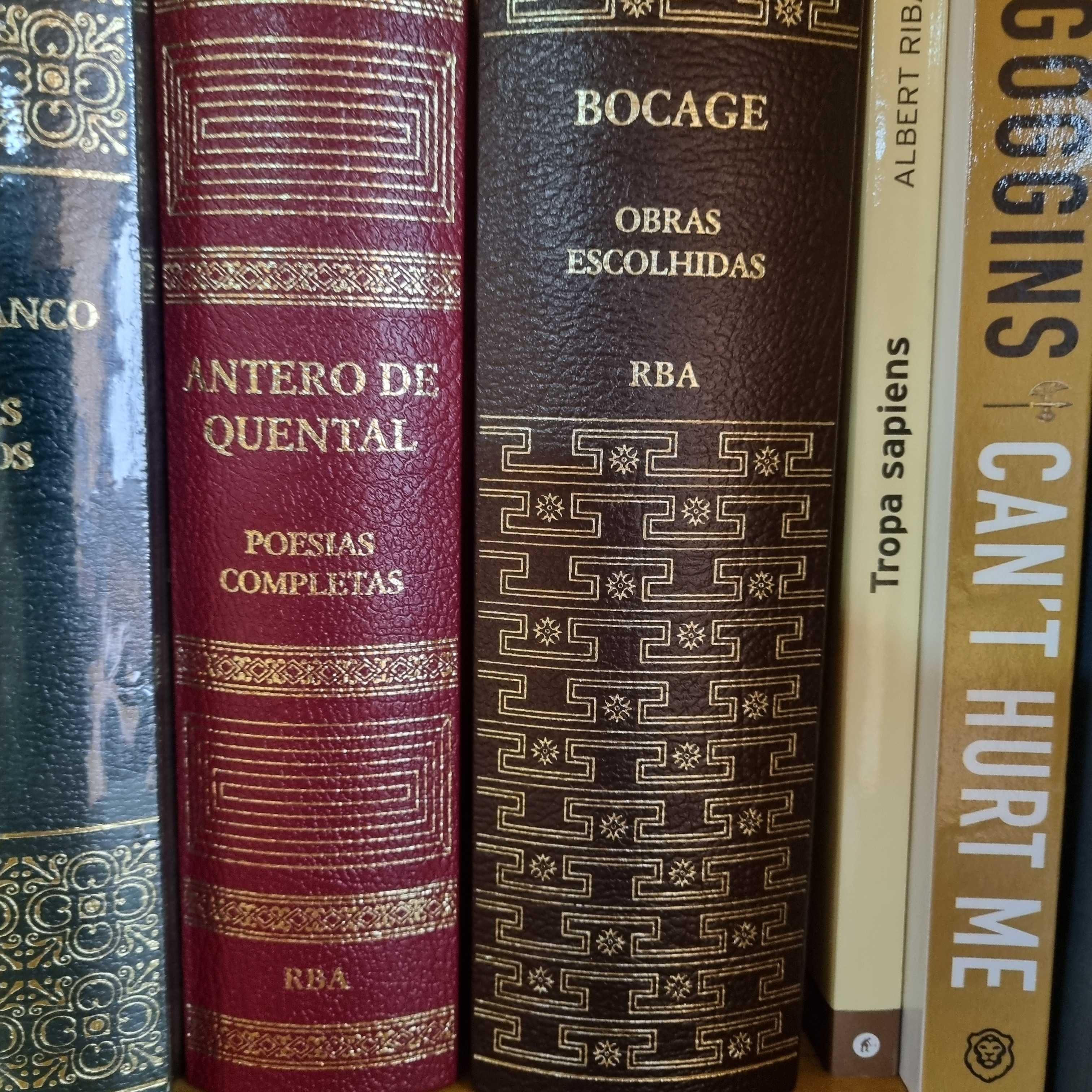 Obras completas literatura Portuguesa - NOVOS