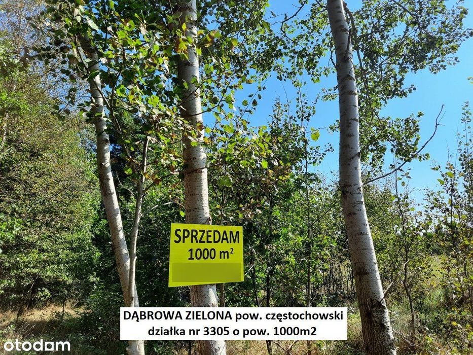Jura tania działka 1000m2 tylko 6.600zł - rezerwacja