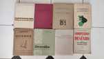 Lote 8 Livros antigos escolares de Desenho