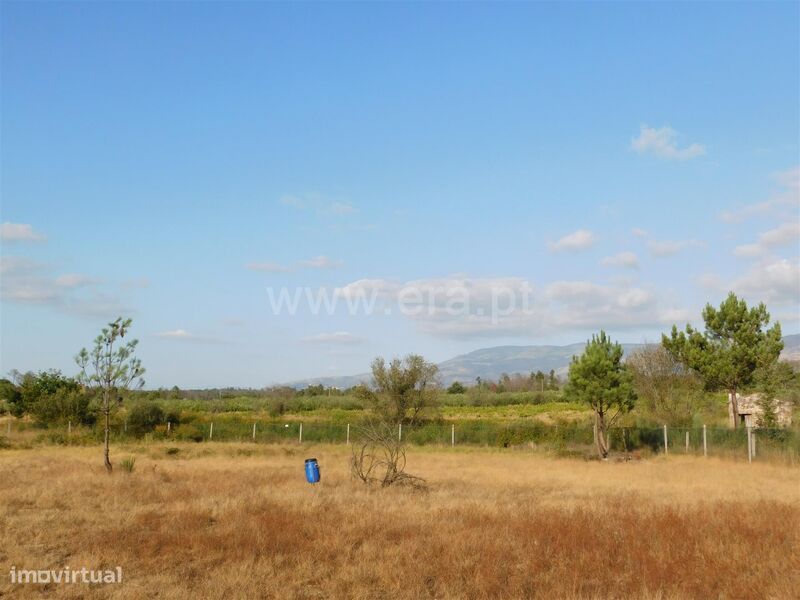 Terreno / Seia, Santa Comba