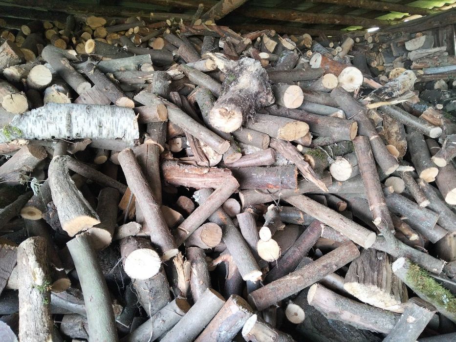 Drzewo opalowe suche