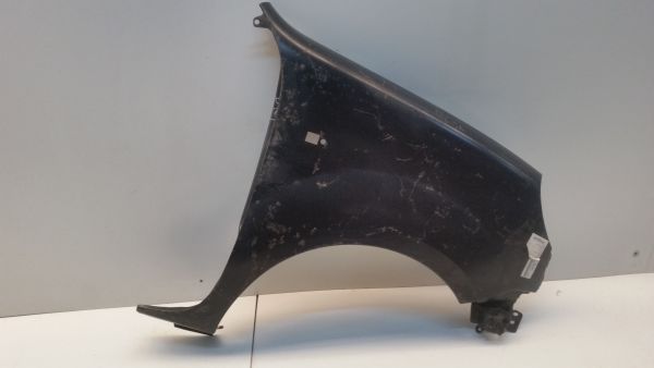 Guarda-lamas esquerdo RENAULT Kangoo (KC0/1_)