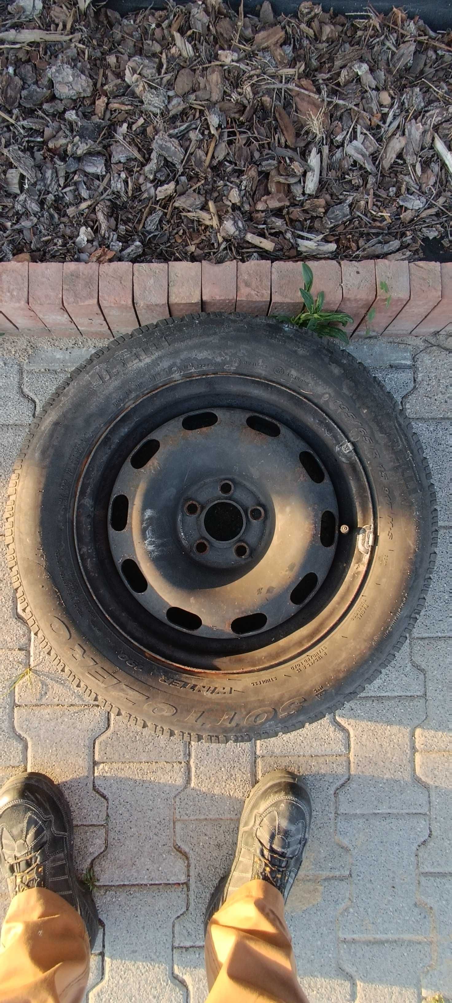 Koła (felgi) 195/65 R15 6Jx15H ET38– Seat Toledo II – garażowe znalezi