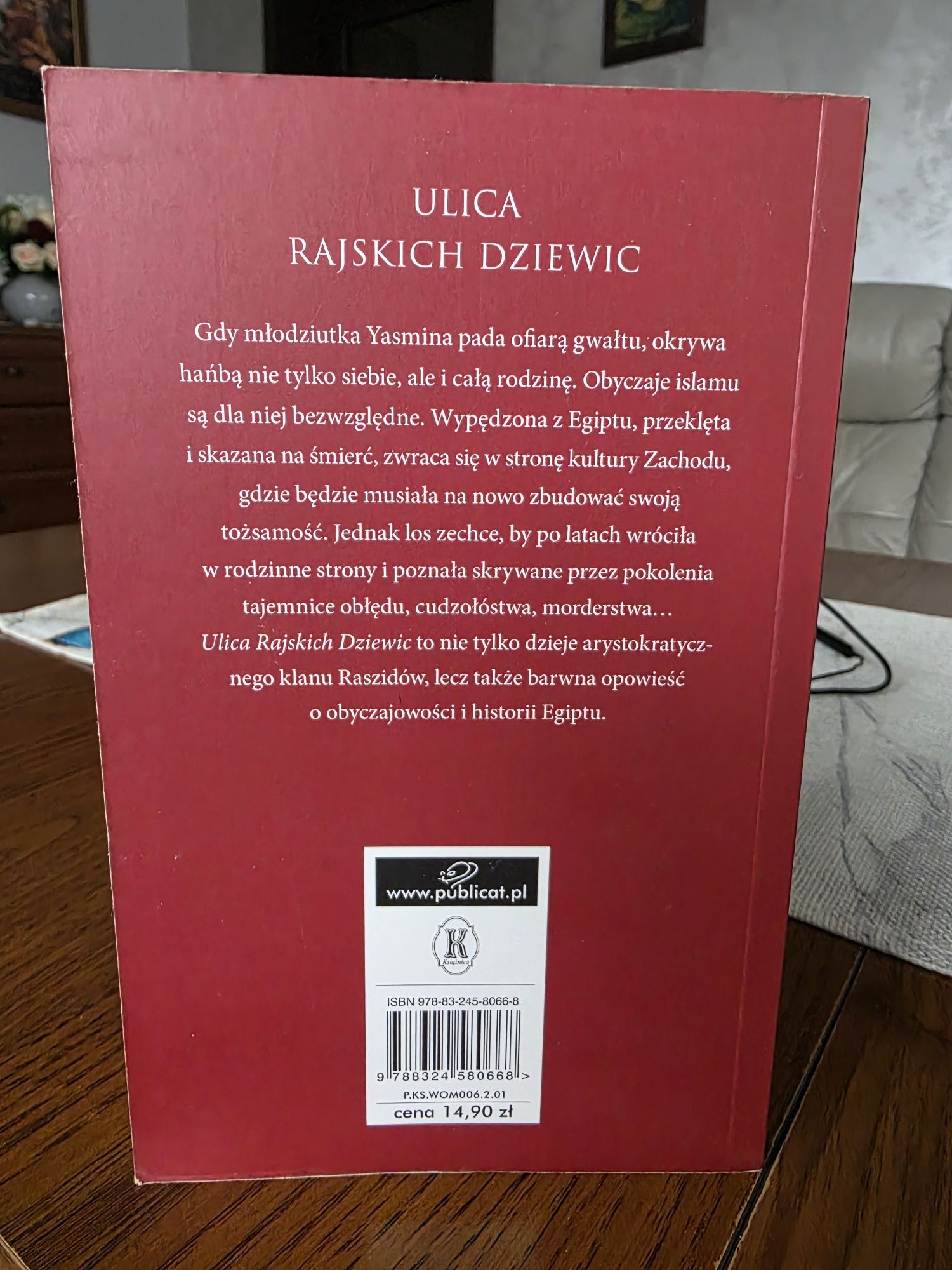 Ulica rajskich dziewic Barbara Wood