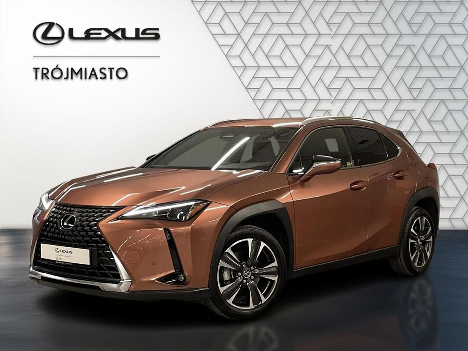 Lexus UX 300h Business+Techno | 1 wł | bezwypadkowy | salon PL | FV 23% |