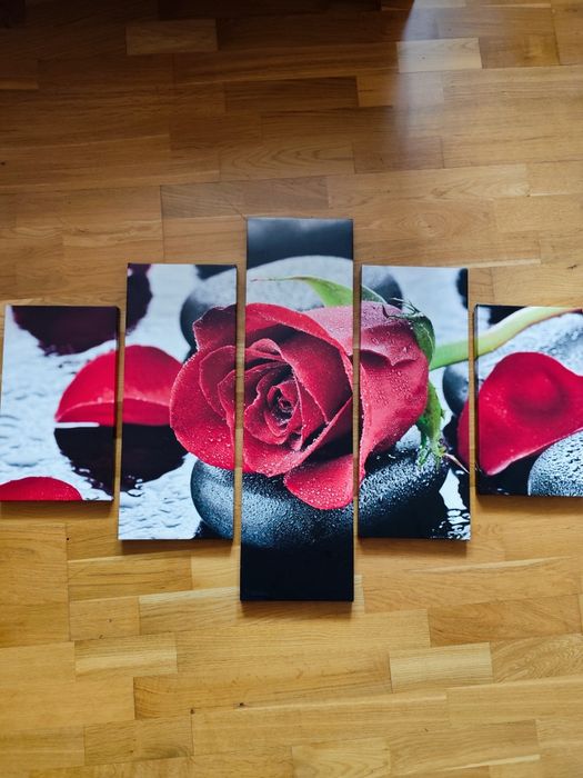 Obraz segmentowy Kwiat Róży