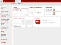 InsERT Rewizor nexo PRO - bez limitu - pełna księgowość
