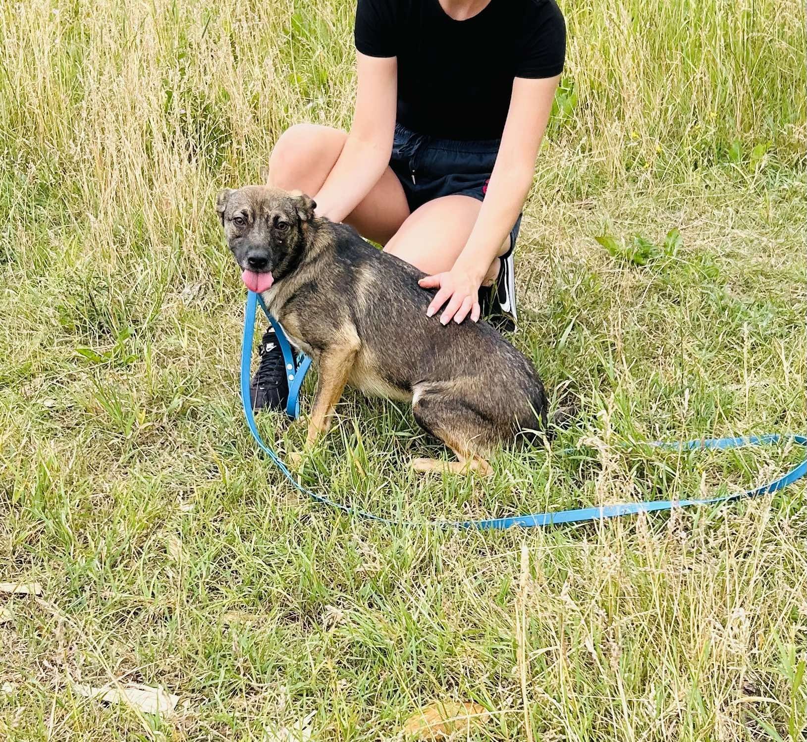 Mała Zuzia szuka domu