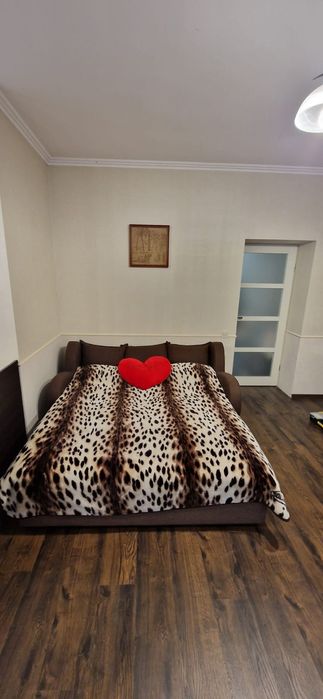 Подобово в центрі міста квартира -студія