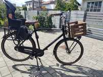 Rower miejski Gazelle