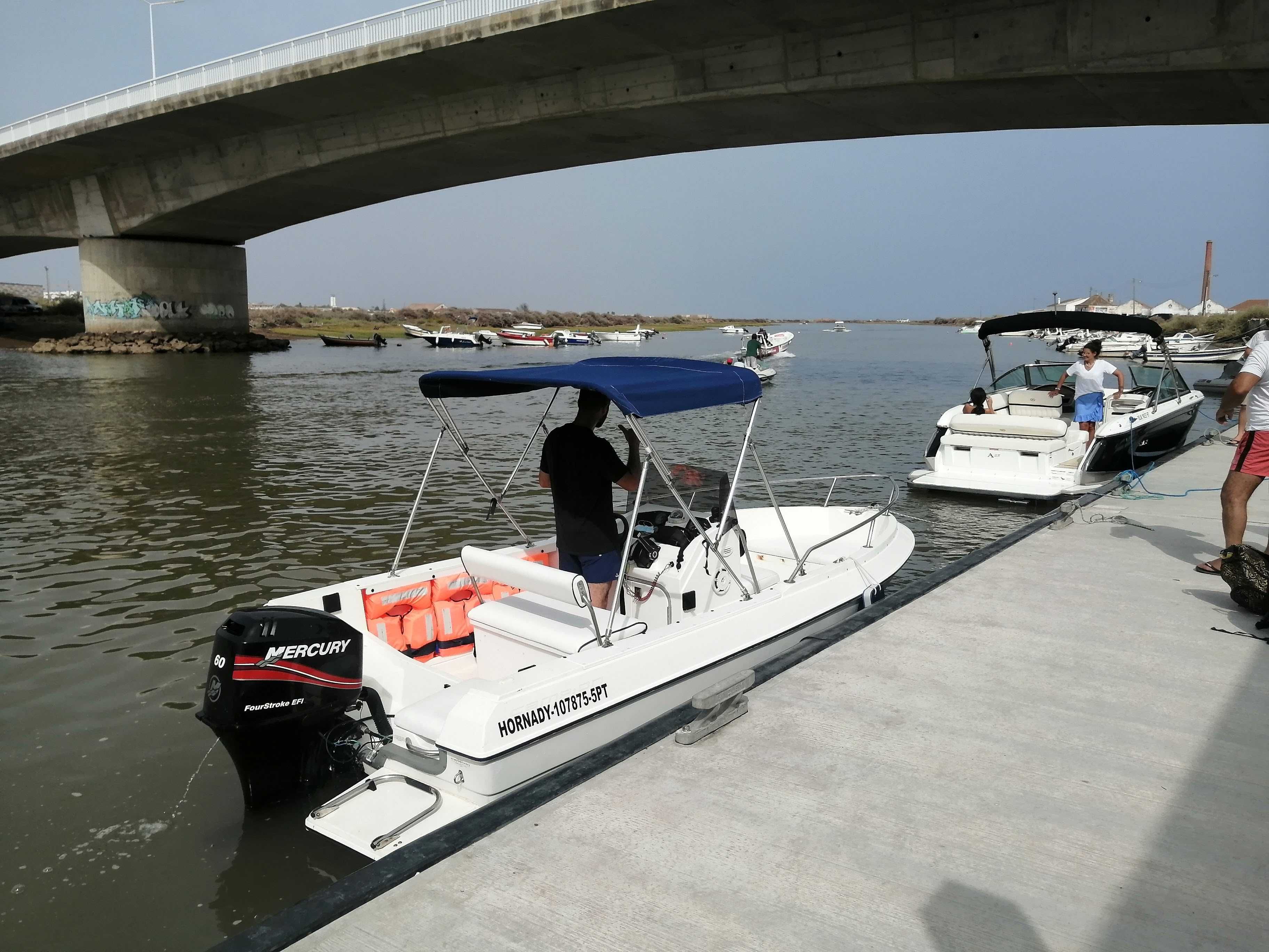 MOTOR  60HP 4Tempos