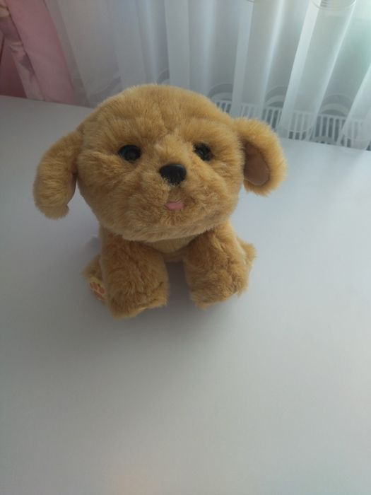 Жива іграшка інтерактивний собачка цуцик Moose Little Live Pets