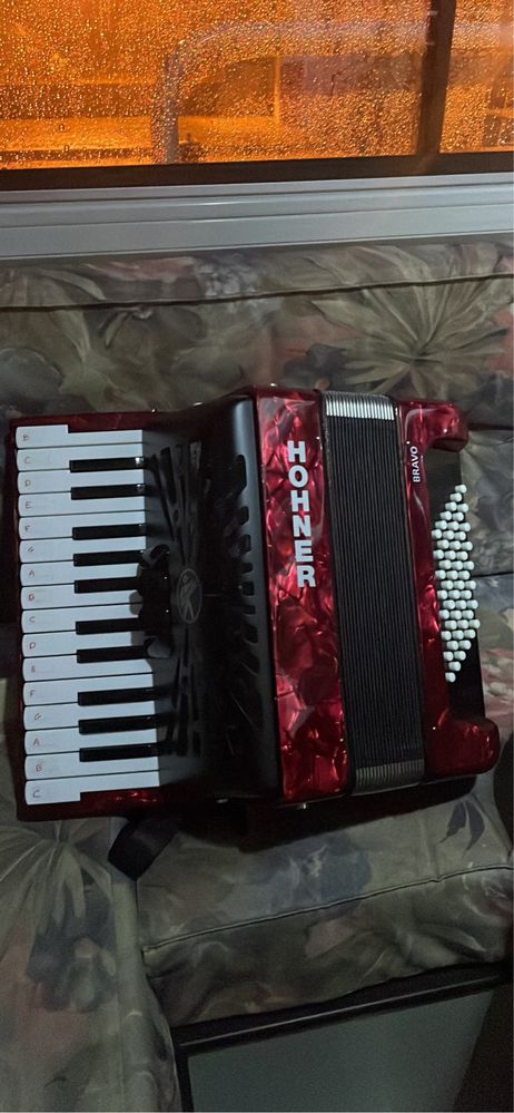 Acordeon Horner bravo