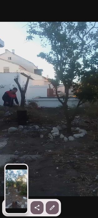 Limpeza de terrenos