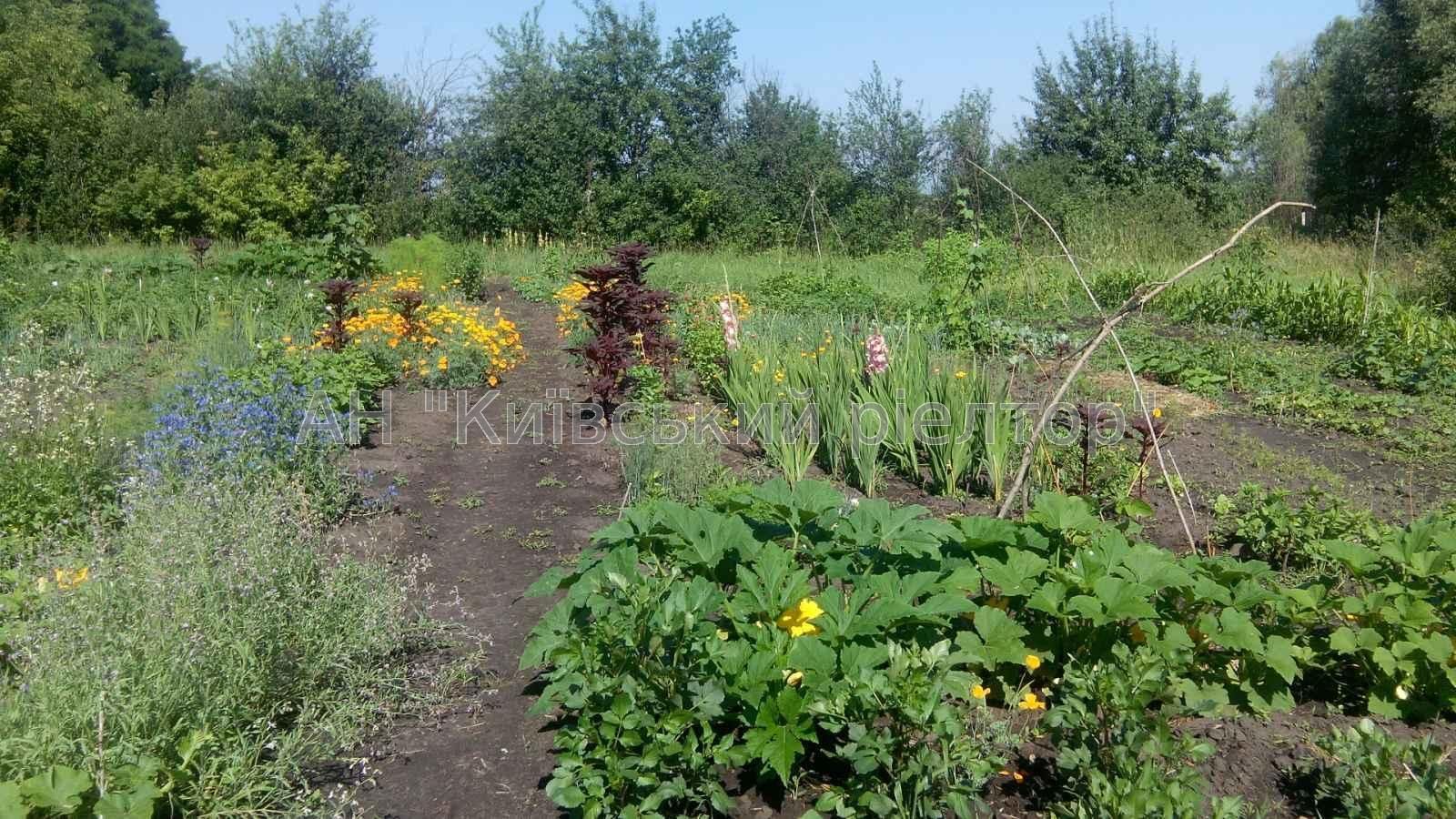 Продаж будинку з ділянкою 64 сотки у с.Масківці́, Броварський р-н.
