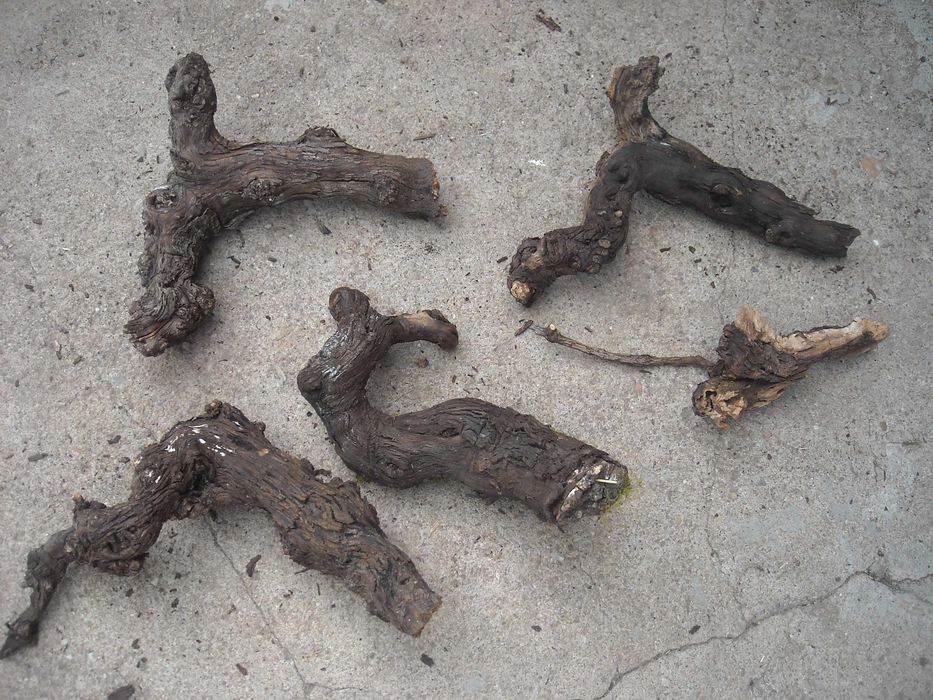 Tronco de videira antiga para decoraçao aquario terrario etc