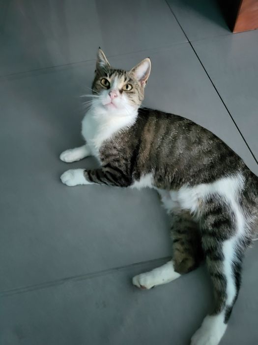 Helcia potrzebuje rodziny